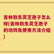 吉林敖东灵芝孢子怎么样(吉林敖东灵芝孢子的功效及使用方法介绍)