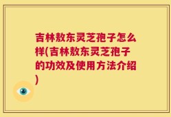 吉林敖东灵芝孢子怎么样(吉林敖东灵芝孢子的功效及使用方法介绍)