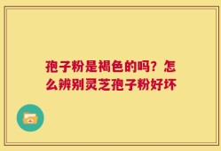 孢子粉是褐色的吗？怎么辨别灵芝孢子粉好坏