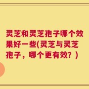 灵芝和灵芝孢子哪个效果好一些(灵芝与灵芝孢子，哪个更有效？)