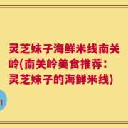 灵芝妹子海鲜米线南关岭(南关岭美食推荐：灵芝妹子的海鲜米线)