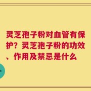 灵芝孢子粉对血管有保护？灵芝孢子粉的功效、作用及禁忌是什么
