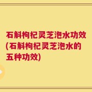 石斛枸杞灵芝泡水功效(石斛枸杞灵芝泡水的五种功效)