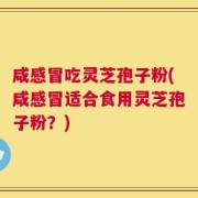咸感冒吃灵芝孢子粉(咸感冒适合食用灵芝孢子粉？)