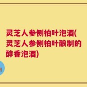 灵芝人参侧柏叶泡酒(灵芝人参侧柏叶酿制的醇香泡酒)