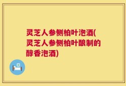 灵芝人参侧柏叶泡酒(灵芝人参侧柏叶酿制的醇香泡酒)