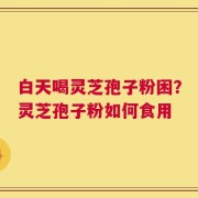 白天喝灵芝孢子粉困？灵芝孢子粉如何食用