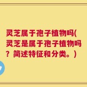 灵芝属于孢子植物吗(灵芝是属于孢子植物吗？简述特征和分类。)
