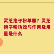 灵芝孢子粉羊腰？灵芝孢子粉功效与作用及用量是什么