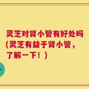 灵芝对肾小管有好处吗(灵芝有益于肾小管，了解一下！)