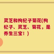 灵芝和枸杞子菊花(枸杞子、灵芝、菊花，是养生三宝！)