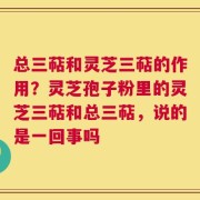 总三萜和灵芝三萜的作用？灵芝孢子粉里的灵芝三萜和总三萜，说的是一回事吗