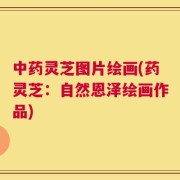 中药灵芝图片绘画(药灵芝：自然恩泽绘画作品)