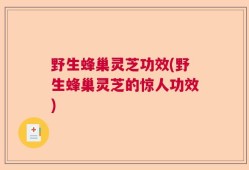 野生蜂巢灵芝功效(野生蜂巢灵芝的惊人功效)