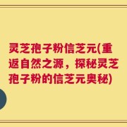 灵芝孢子粉信芝元(重返自然之源，探秘灵芝孢子粉的信芝元奥秘)