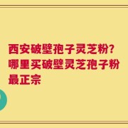 西安破壁孢子灵芝粉？哪里买破壁灵芝孢子粉最正宗