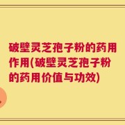 破壁灵芝孢子粉的药用作用(破壁灵芝孢子粉的药用价值与功效)