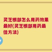 灵芝根部怎么用药效果最好(灵芝根部用药最佳方法)