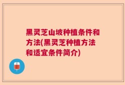 黑灵芝山坡种植条件和方法(黑灵芝种植方法和适宜条件简介)