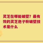 灵芝在哪能破壁？最有效的灵芝孢子粉破壁技术是什么