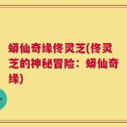 蟒仙奇缘佟灵芝(佟灵芝的神秘冒险：蟒仙奇缘)