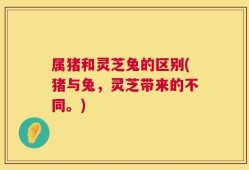 属猪和灵芝兔的区别(猪与兔，灵芝带来的不同。)