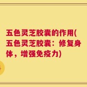 五色灵芝胶囊的作用(五色灵芝胶囊：修复身体，增强免疫力)