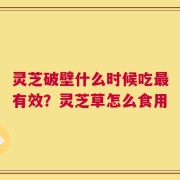 灵芝破壁什么时候吃最有效？灵芝草怎么食用