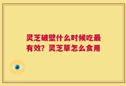 灵芝破壁什么时候吃最有效？灵芝草怎么食用