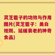 灵芝雹子的功效与作用图片(灵芝雹子：美白祛斑、延缓衰老的神奇食品)