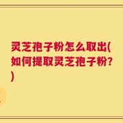 灵芝孢子粉怎么取出(如何提取灵芝孢子粉？)