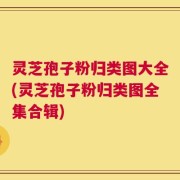 灵芝孢子粉归类图大全(灵芝孢子粉归类图全集合辑)