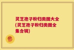 灵芝孢子粉归类图大全(灵芝孢子粉归类图全集合辑)