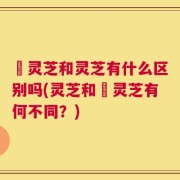 朿灵芝和灵芝有什么区别吗(灵芝和朿灵芝有何不同？)