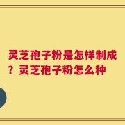 灵芝孢子粉是怎样制成？灵芝孢子粉怎么种
