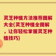 灵芝种植方法推荐图解大全(灵芝种植全图解，让你轻松掌握灵芝种植技巧)