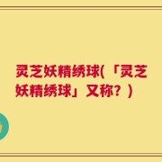 灵芝妖精绣球(「灵芝妖精绣球」又称？)