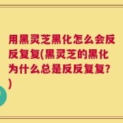用黑灵芝黑化怎么会反反复复(黑灵芝的黑化为什么总是反反复复？)