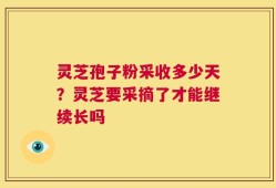 灵芝孢子粉采收多少天？灵芝要采摘了才能继续长吗