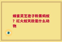 蜂蜜灵芝孢子粉黑蚂蚁？红火蚁天敌是什么动物