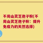 不周山灵芝孢子粉(不周山灵芝孢子粉：提升免疫力的天然选择)