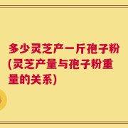 多少灵芝产一斤孢子粉(灵芝产量与孢子粉重量的关系)