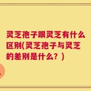 灵芝孢子跟灵芝有什么区别(灵芝孢子与灵芝的差别是什么？)