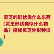 灵芝的形状像什么东西(灵芝形状类似什么物品？探秘灵芝外形特征)