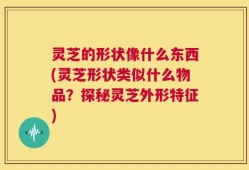 灵芝的形状像什么东西(灵芝形状类似什么物品？探秘灵芝外形特征)