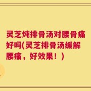 灵芝炖排骨汤对腰骨痛好吗(灵芝排骨汤缓解腰痛，好效果！)