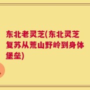东北老灵芝(东北灵芝复苏从荒山野岭到身体堡垒)