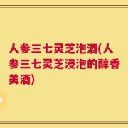 人参三七灵芝泡酒(人参三七灵芝浸泡的醇香美酒)