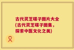 古代灵芝碟子图片大全(古代灵芝碟子图集，探索中医文化之美)