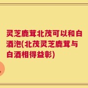 灵芝鹿茸北茂可以和白酒泡(北茂灵芝鹿茸与白酒相得益彰)